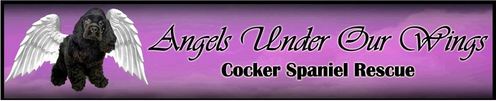 Angels Under Our Wings Logo